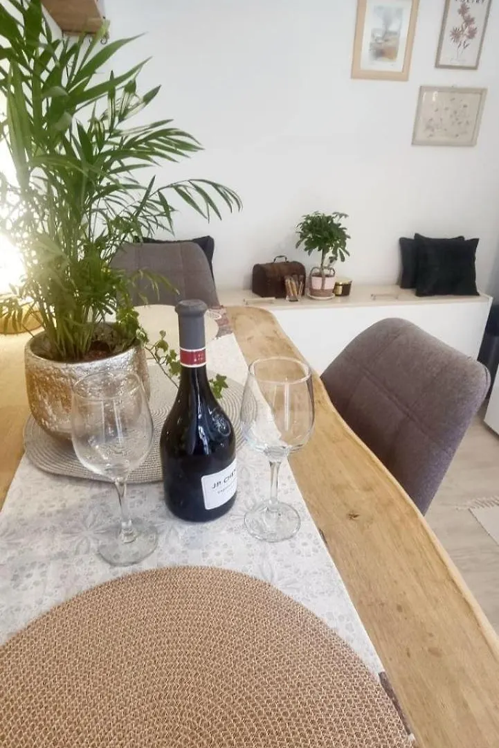 Studio Apartman Grotta Pula